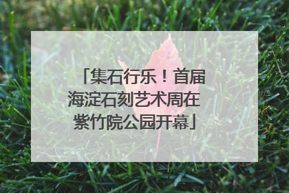 集石行乐！首届海淀石刻艺术周在紫竹院公园开幕
