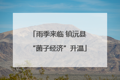 雨季来临 镇沅县“菌子经济”升温