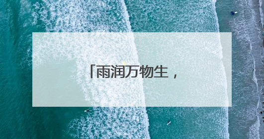 雨润万物生，湖畔舞翩跹
