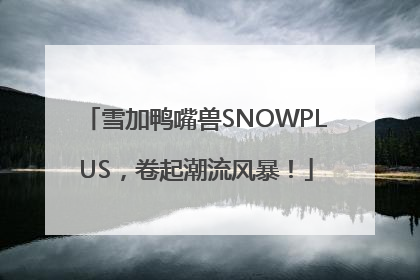 雪加鸭嘴兽SNOWPLUS，卷起潮流风暴！
