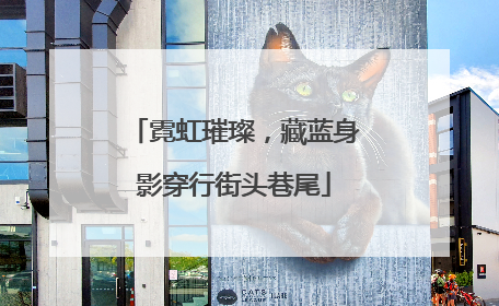 霓虹璀璨，藏蓝身影穿行街头巷尾