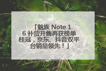 魅族 Note 16 补货开售再获榜单桂冠，京东、抖音双平台销量领先！