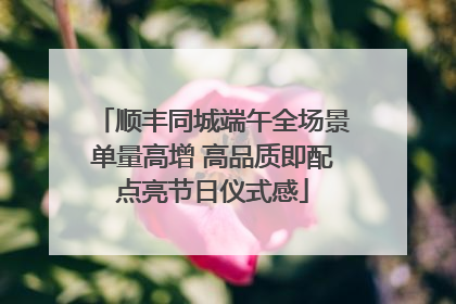 顺丰同城端午全场景单量高增 高品质即配点亮节日仪式感