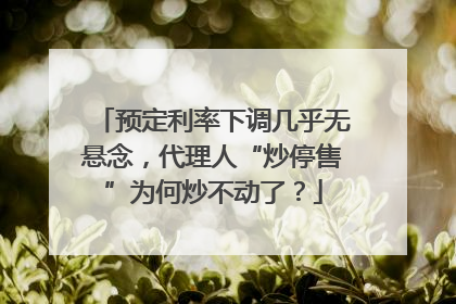 预定利率下调几乎无悬念，代理人“炒停售”为何炒不动了？