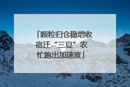 颗粒归仓稳增收 宿迁“三夏”农忙跑出加速度
