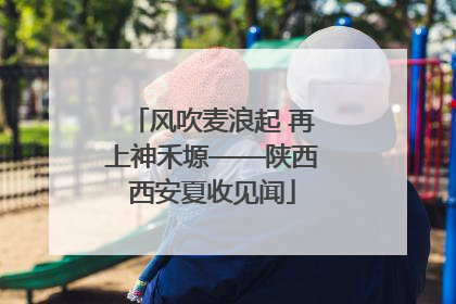 风吹麦浪起 再上神禾塬——陕西西安夏收见闻