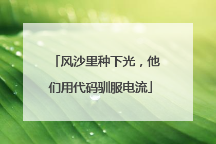 风沙里种下光，他们用代码驯服电流