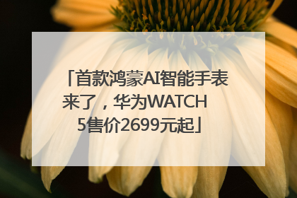 首款鸿蒙AI智能手表来了，华为WATCH 5售价2699元起