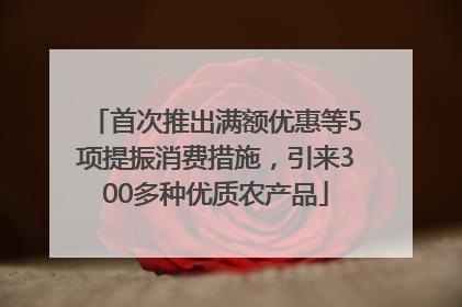 首次推出满额优惠等5项提振消费措施，引来300多种优质农产品