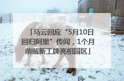 马云回应“5月10日回归阿里”传闻，1个月前戴新工牌亮相园区