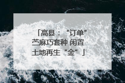 高县：“订单”苎麻巧套种 闲置土地再生“金”