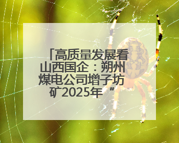 高质量发展看山西国企：朔州煤电公司增子坊矿2025年“安全生产月”宣传咨询日活动亮点纷呈