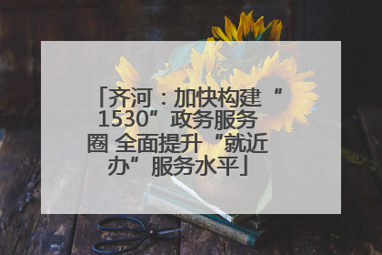齐河：加快构建“1530”政务服务圈 全面提升“就近办”服务水平