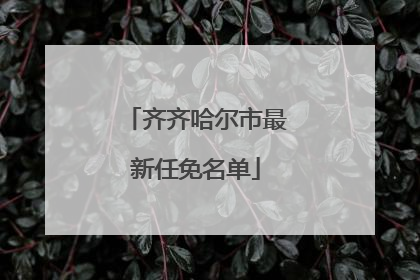 齐齐哈尔市最新任免名单