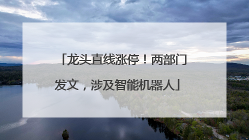 龙头直线涨停！两部门发文，涉及智能机器人