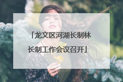 龙文区河湖长制林长制工作会议召开