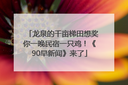 龙泉的千亩梯田想奖你一晚民宿一只鸡！《90早新闻》来了