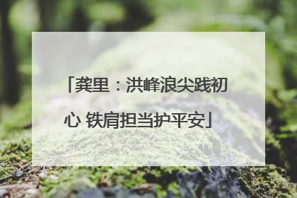 龚里：洪峰浪尖践初心 铁肩担当护平安