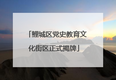 鲤城区党史教育文化街区正式揭牌