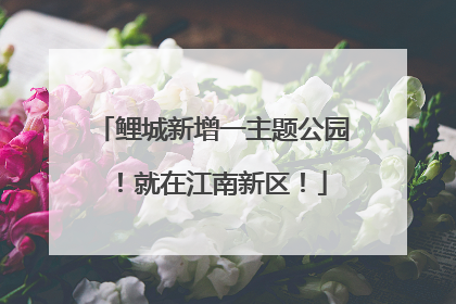 鲤城新增一主题公园！就在江南新区！