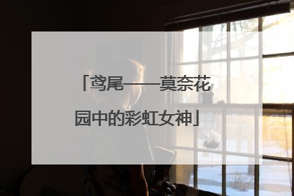 鸢尾——莫奈花园中的彩虹女神