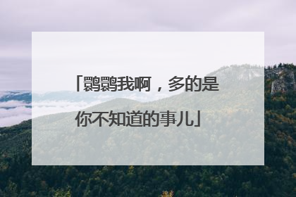 鹮鹮我啊，多的是你不知道的事儿