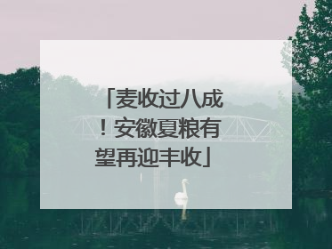 麦收过八成！安徽夏粮有望再迎丰收
