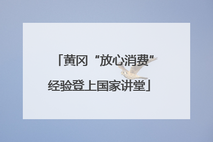 黄冈“放心消费”经验登上国家讲堂
