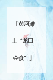 黄河滩上“龙口夺食”