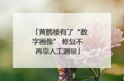 黄鹤楼有了“数字画像” 修复不再靠人工测量