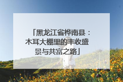 黑龙江省桦南县：木耳大棚里的丰收盛景与共富之路