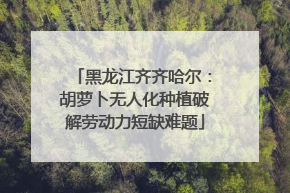 黑龙江齐齐哈尔：胡萝卜无人化种植破解劳动力短缺难题