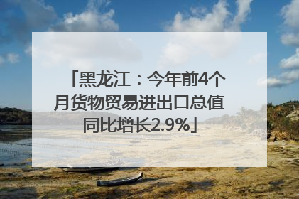 黑龙江：今年前4个月货物贸易进出口总值同比增长2.9%