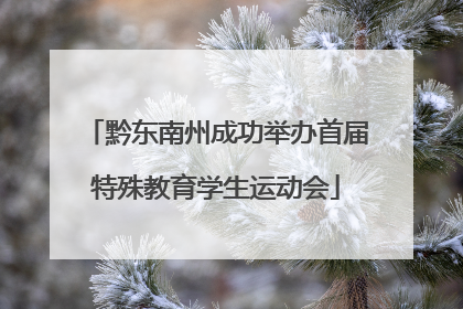 黔东南州成功举办首届特殊教育学生运动会