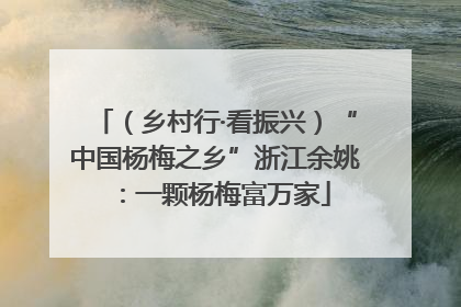 （乡村行·看振兴）“中国杨梅之乡”浙江余姚：一颗杨梅富万家