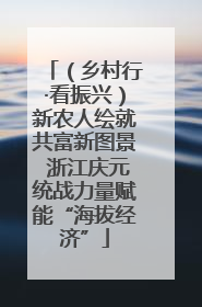 （乡村行·看振兴）新农人绘就共富新图景 浙江庆元统战力量赋能“海拔经济”