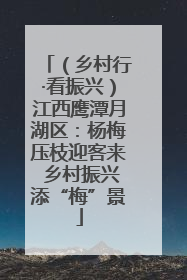 （乡村行·看振兴）江西鹰潭月湖区：杨梅压枝迎客来 乡村振兴添“梅”景