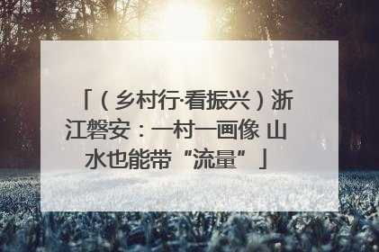 （乡村行·看振兴）浙江磐安：一村一画像 山水也能带“流量”