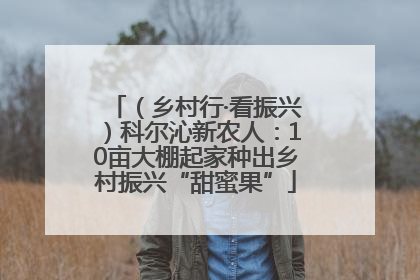 （乡村行·看振兴）科尔沁新农人：10亩大棚起家种出乡村振兴“甜蜜果”