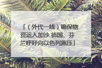 （外代一线）确保物资运入加沙 德国、芬兰呼吁向以色列施压
