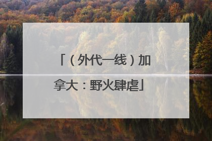 （外代一线）加拿大：野火肆虐