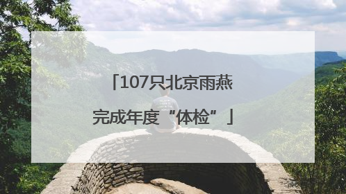 107只北京雨燕完成年度“体检”