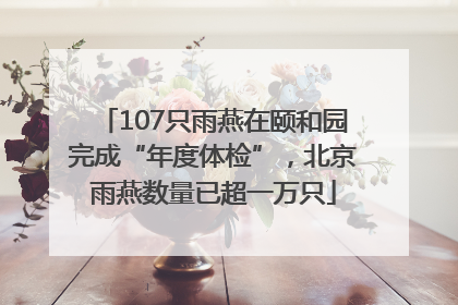 107只雨燕在颐和园完成“年度体检”，北京雨燕数量已超一万只
