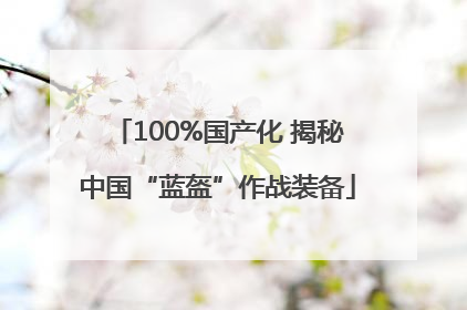 100%国产化 揭秘中国“蓝盔”作战装备