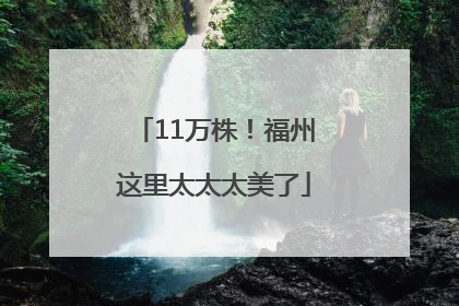 11万株！福州这里太太太美了