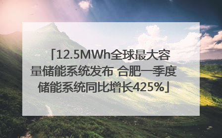 12.5MWh全球最大容量储能系统发布 合肥一季度储能系统同比增长425%
