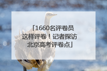 1660名评卷员这样评卷！记者探访北京高考评卷点