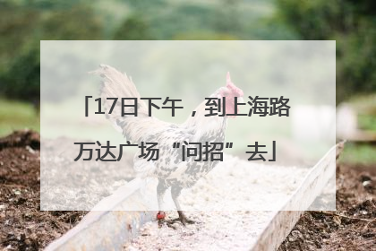 17日下午，到上海路万达广场“问招”去