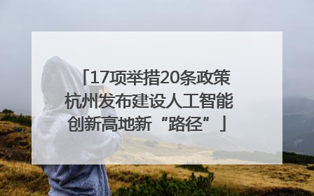 17项举措20条政策 杭州发布建设人工智能创新高地新“路径”