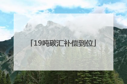 19吨碳汇补偿到位